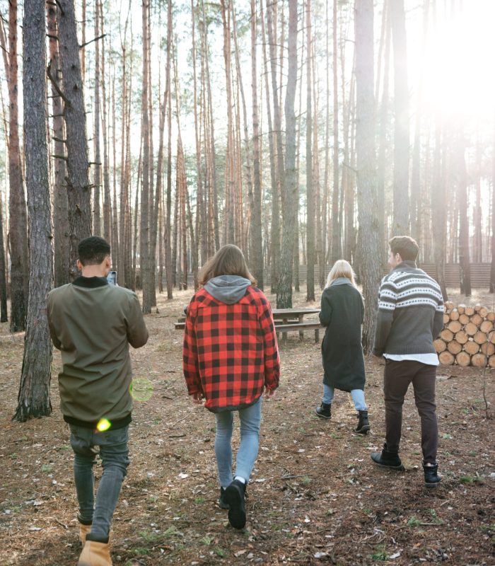 Back view photo of group of friends walking outdoors in the forest.